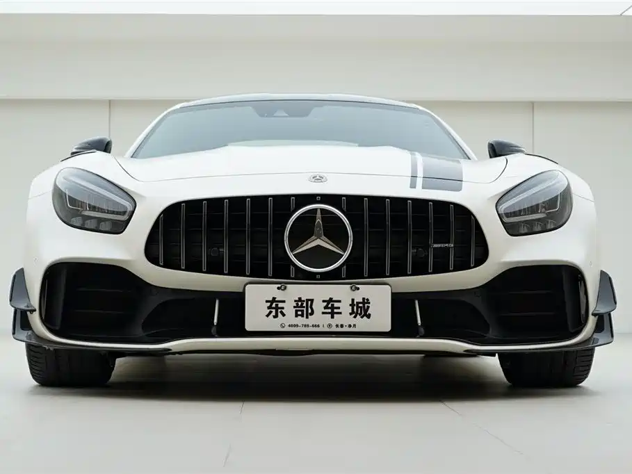 Mercedes-Benz A MG GT 2019 AMG GT R PRO