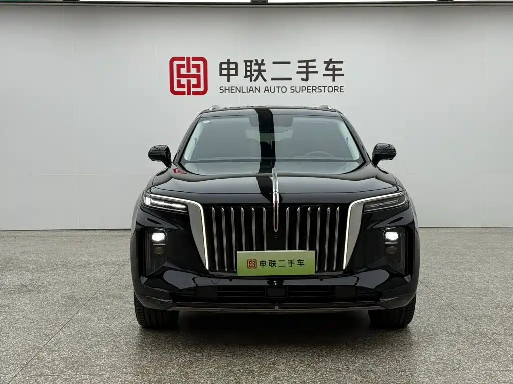 Hongqi Hongqi E-HS9 — миниатюра 5