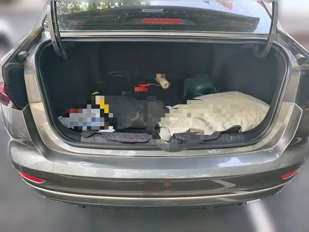 Geely Emgrand — миниатюра 15