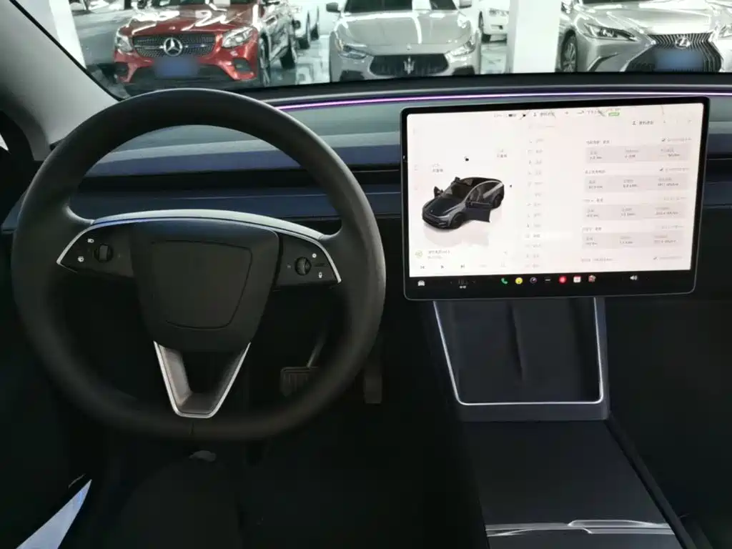 Tesla Model Y — миниатюра 10