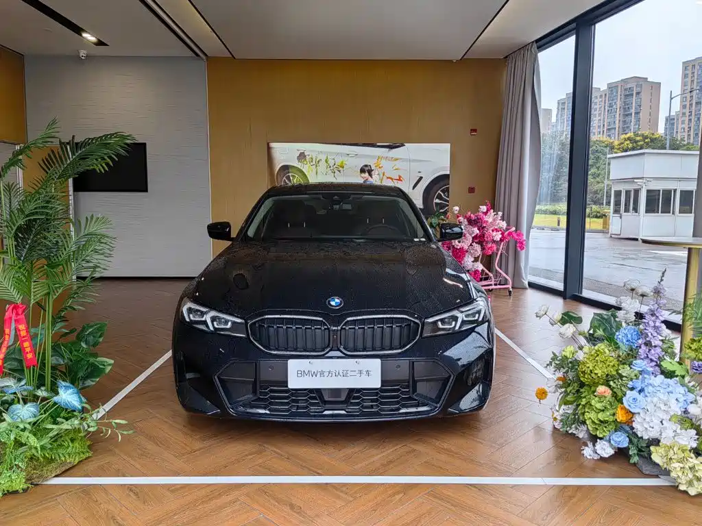 BMW 3 Series — миниатюра 2