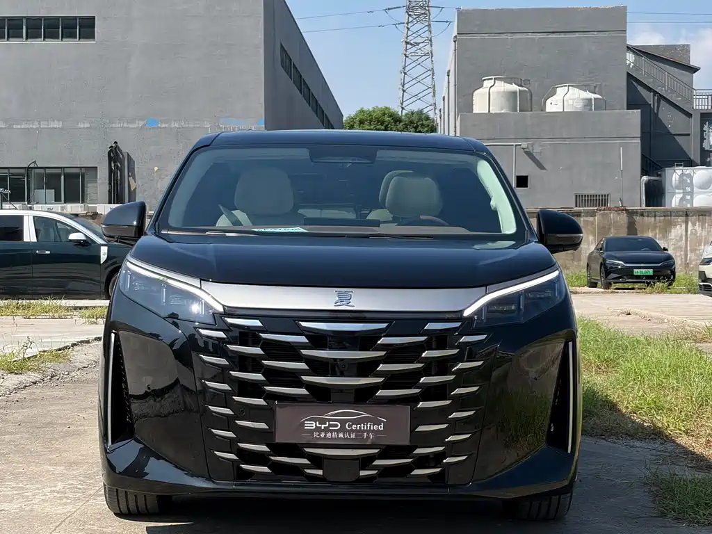 BYD Xia — миниатюра 2