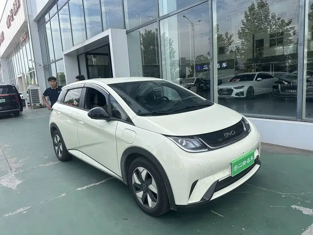 BYD Dolphin — миниатюра 3