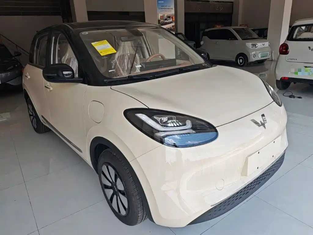 Wuling Binguo 2025 333km Enjoy