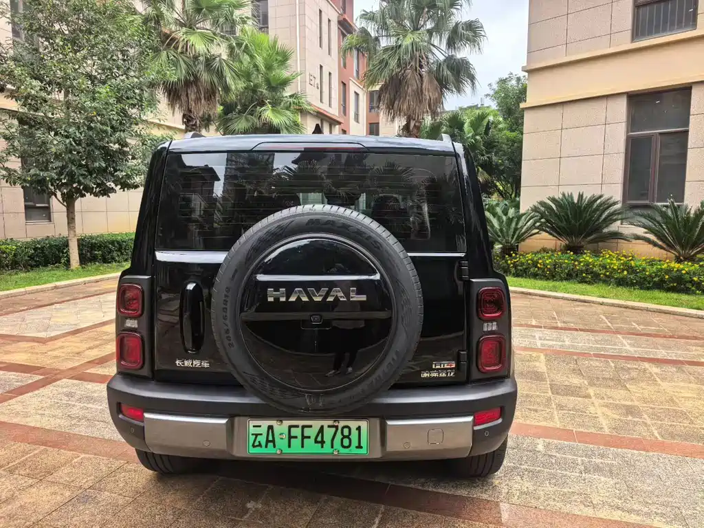 Haval Menglong New Energy — миниатюра 5