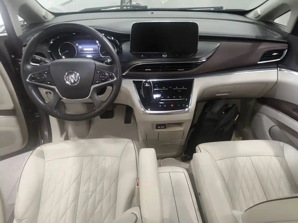 Buick GL8 — миниатюра 10