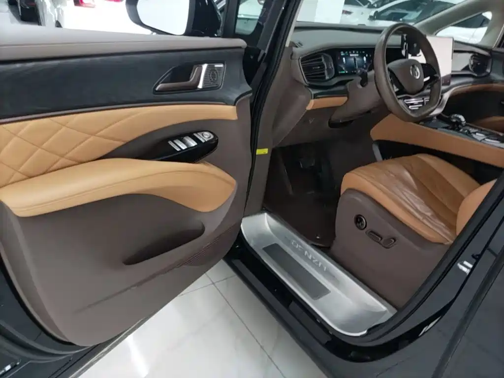 Denza Denza D9 — миниатюра 16