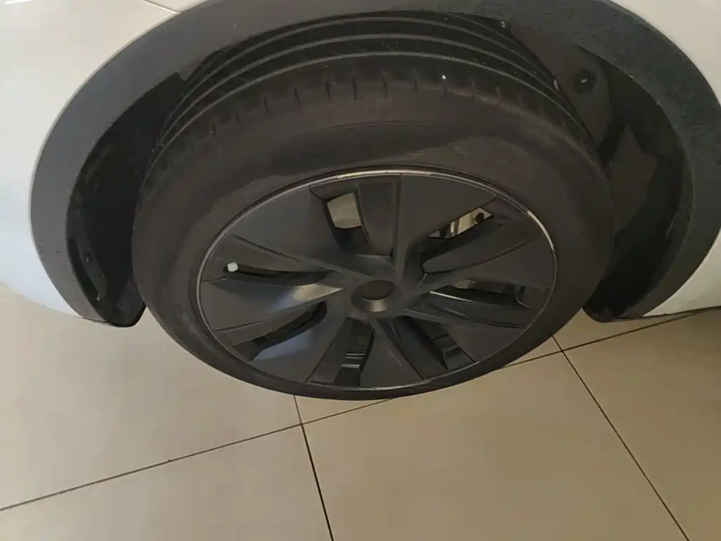 Tesla Model Y — миниатюра 23