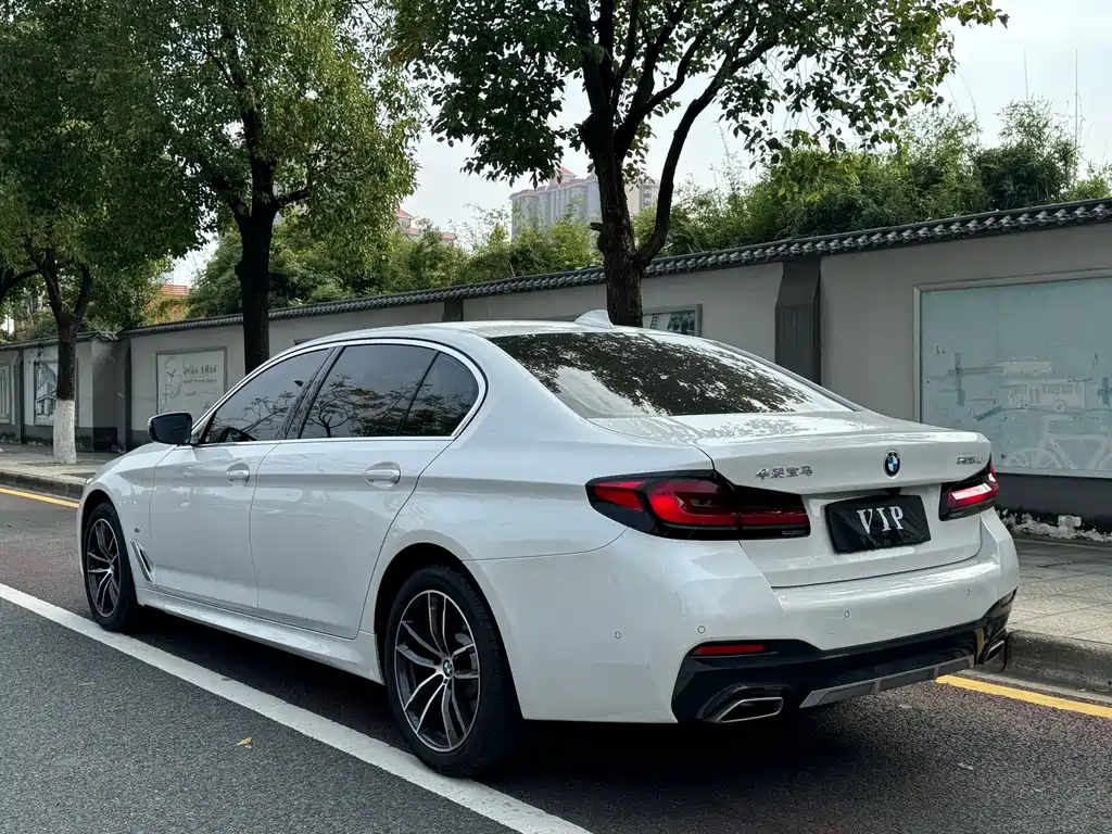 BMW 5 SERIES