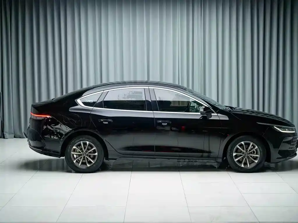 BYD Destroyer 05 — миниатюра 8