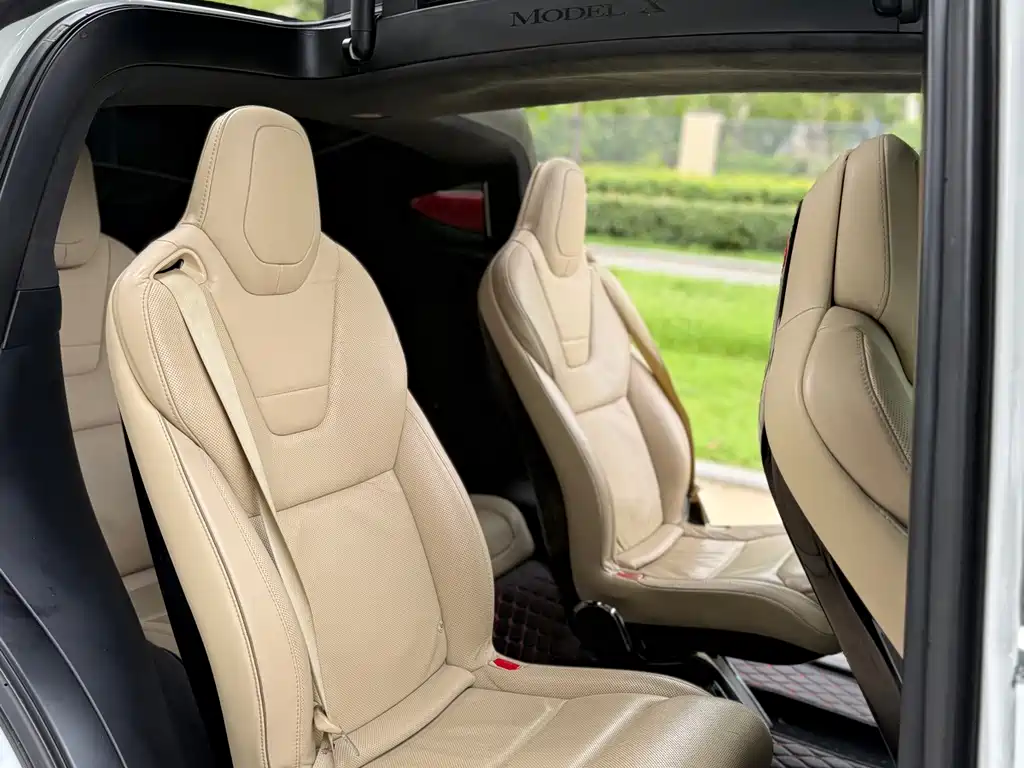 Tesla Model X — миниатюра 5
