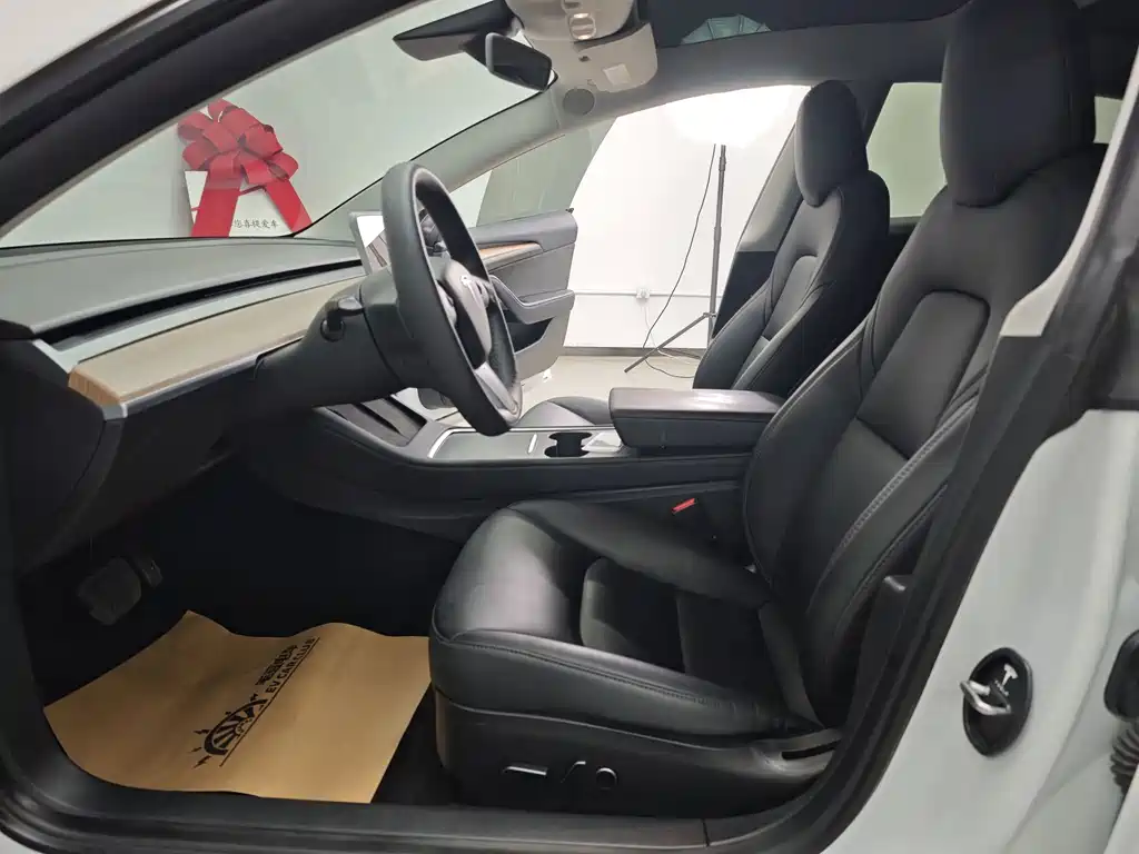 Tesla Model 3 — миниатюра 44