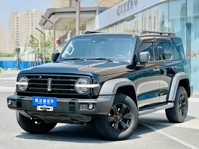 2021 TANK 300