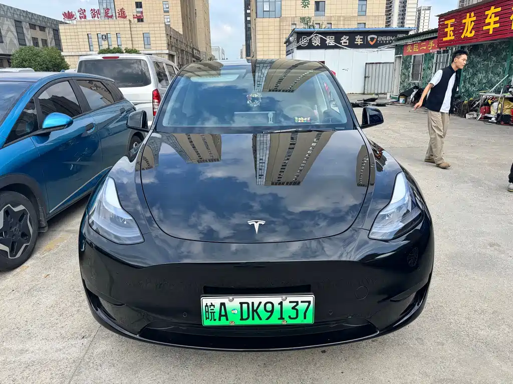 Tesla Model Y — миниатюра 2