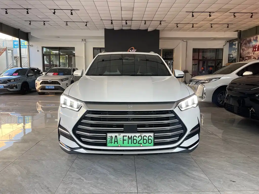 BYD Pro New Energy — миниатюра 2