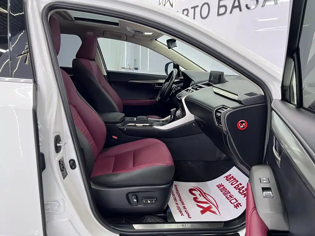 Lexus NX — миниатюра 19