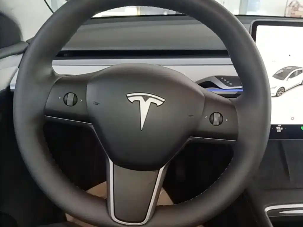 Tesla Model Y — миниатюра 11