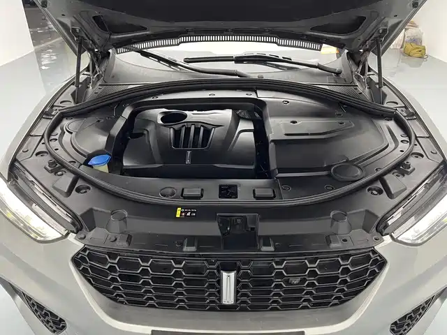 WEI PAI WEI BRAND VV7