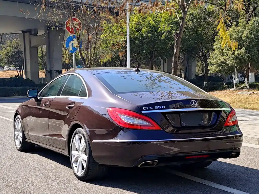 Mercedes-Benz CLS CLS 300 CGI, фото 3