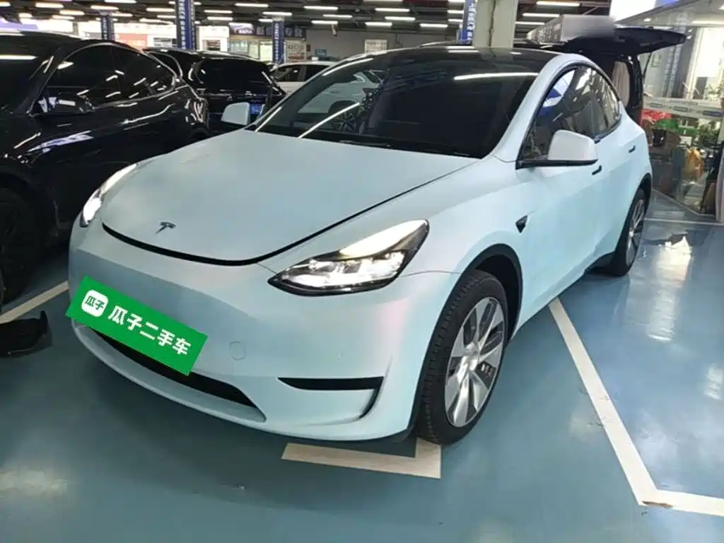 Tesla Model Y — миниатюра 2