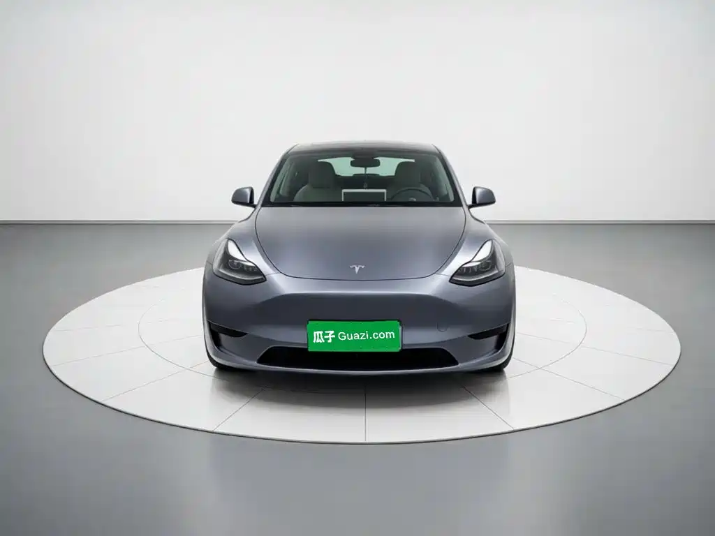 Tesla Model Y — миниатюра 2