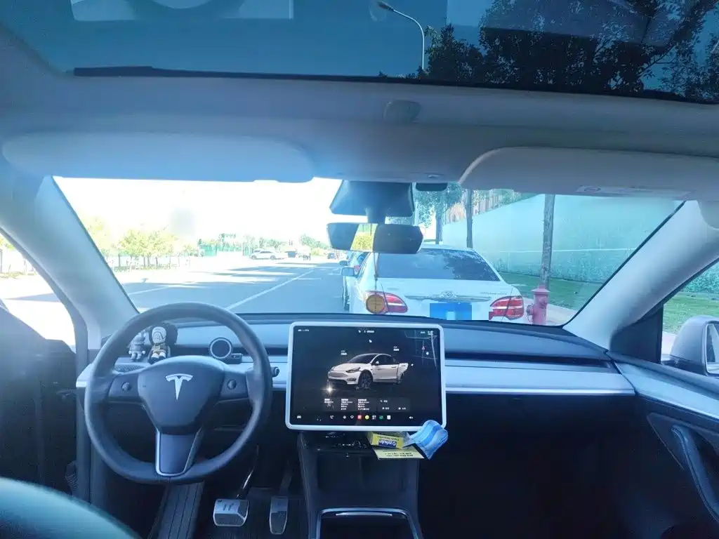 Tesla Model Y — миниатюра 10