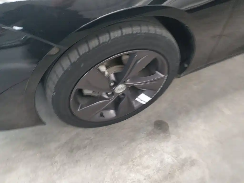 Buick Regal — миниатюра 22
