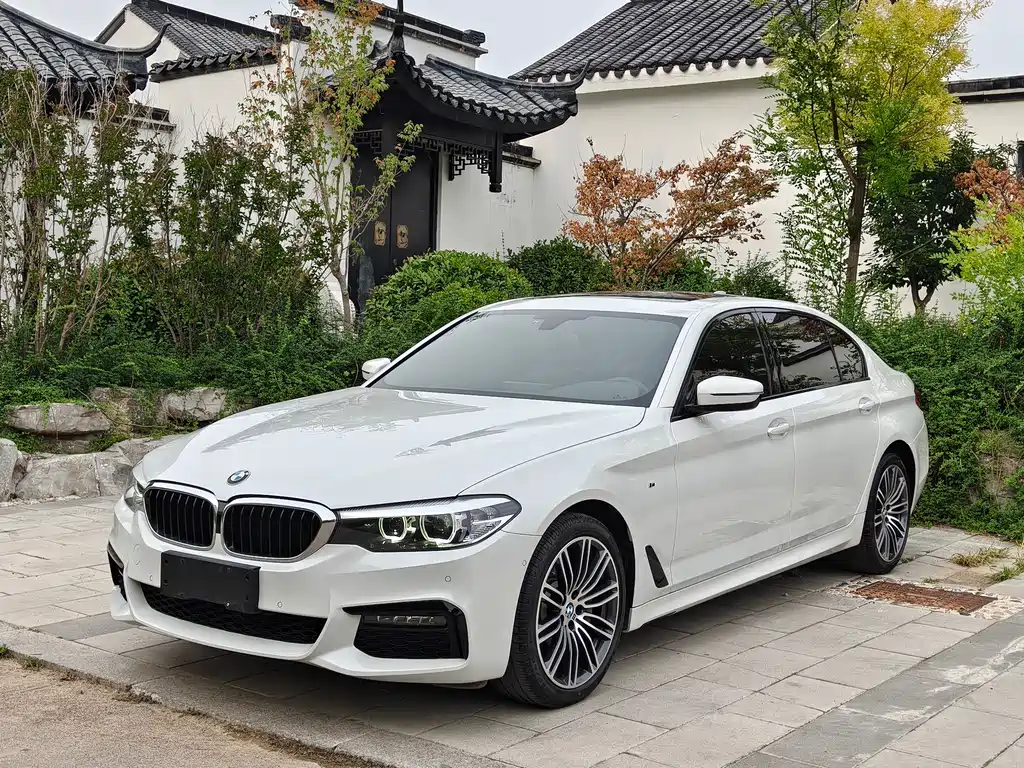 BMW 5 Series 5 2019 530Li Lead M Sport