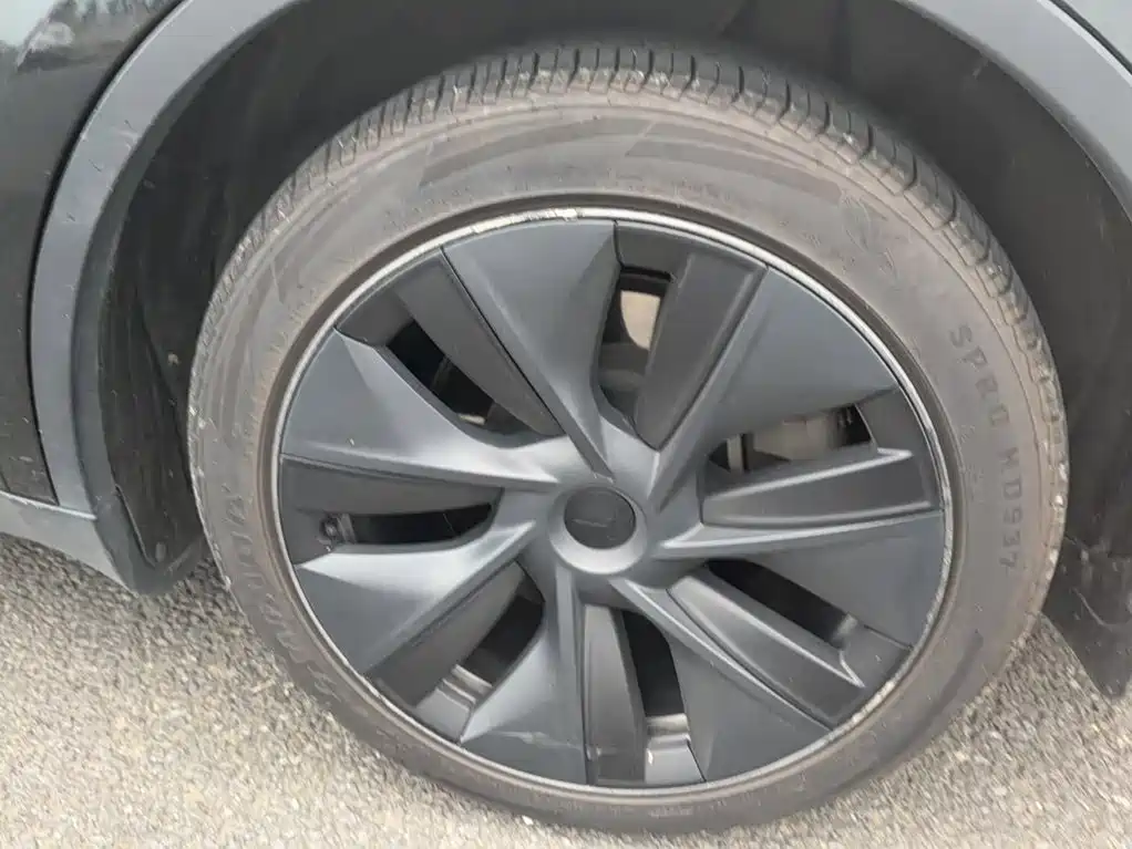 Tesla Model Y — миниатюра 19