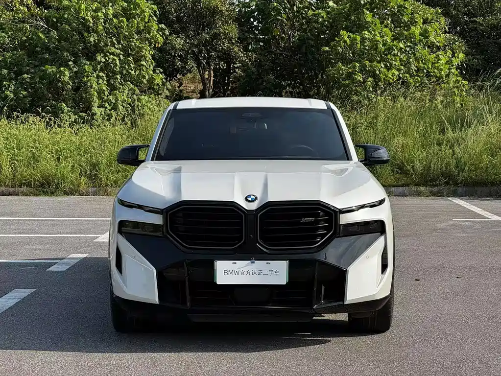 BMW XM — миниатюра 3