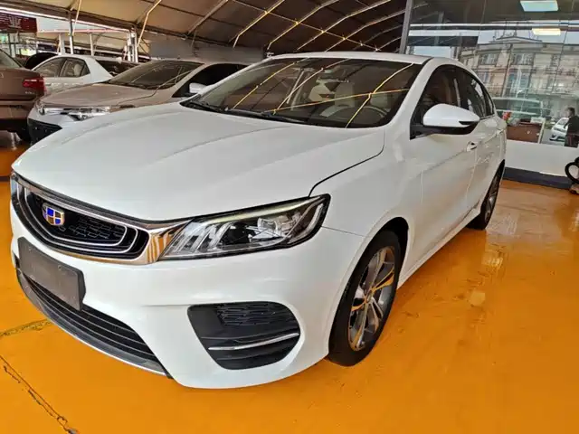 2019 Geely Binrui