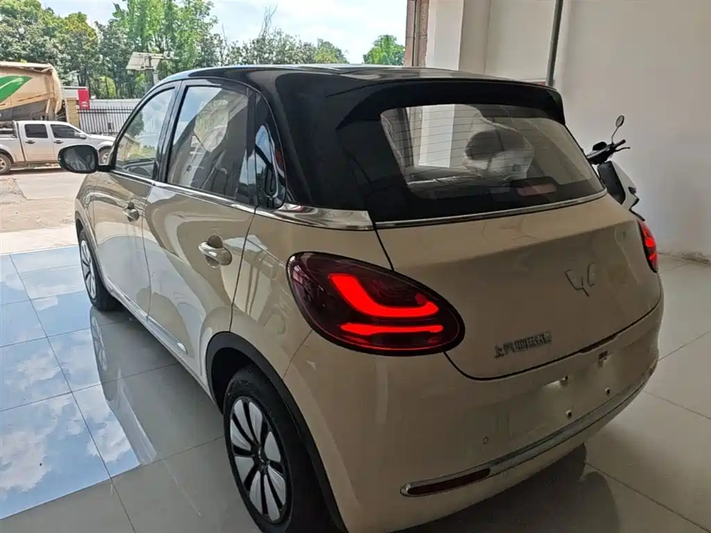 Wuling Binguo 2025 333km Enjoy