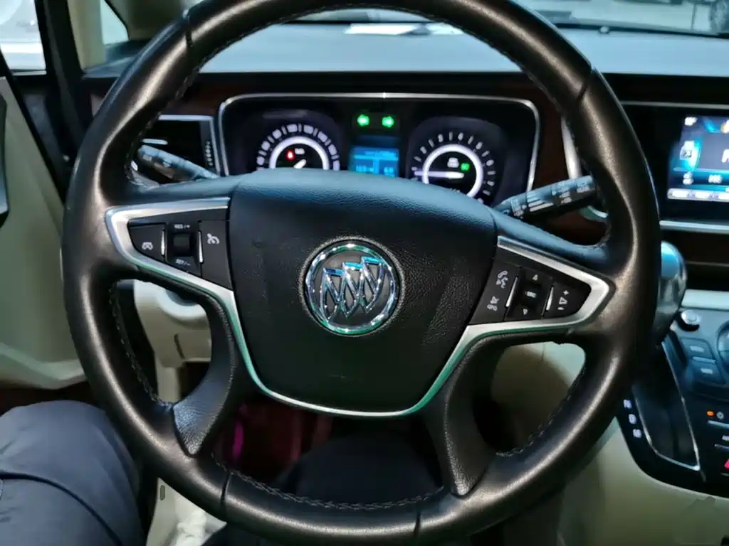 Buick GL8 — миниатюра 11