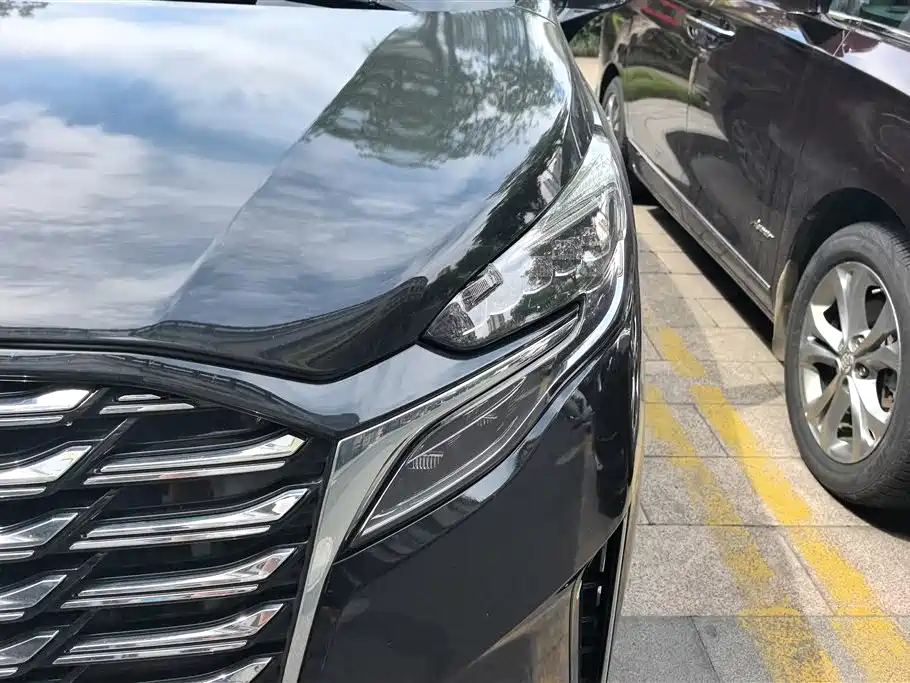 Buick GL8 2023 Avenir мест