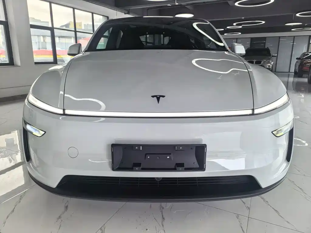 Tesla Model Y L — миниатюра 2