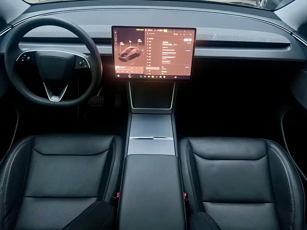 Tesla Model Y — миниатюра 7