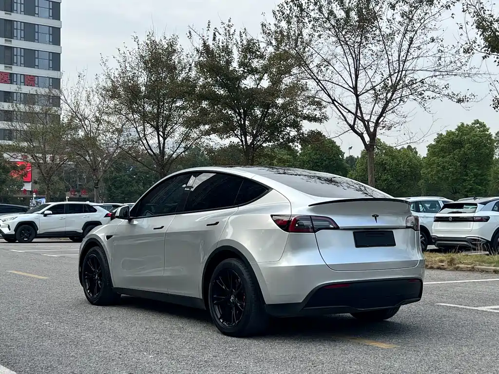 Tesla Model Y — миниатюра 6