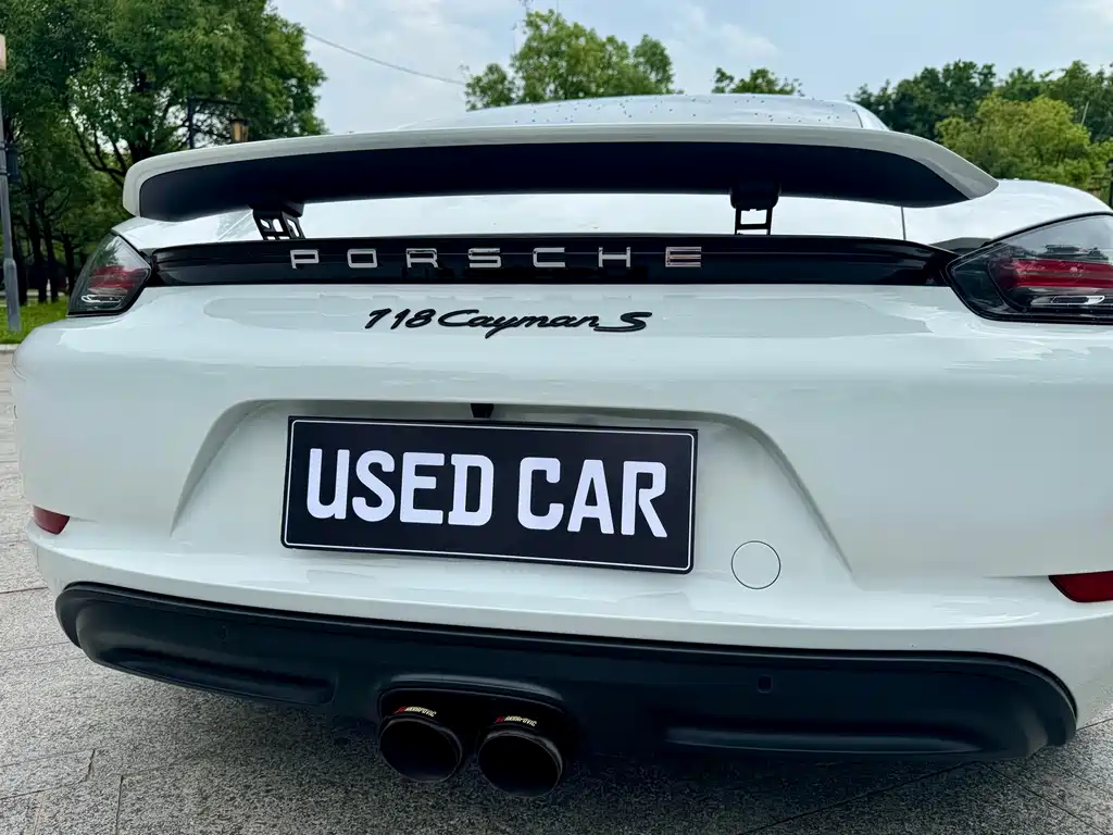 Porsche 718 — миниатюра 22
