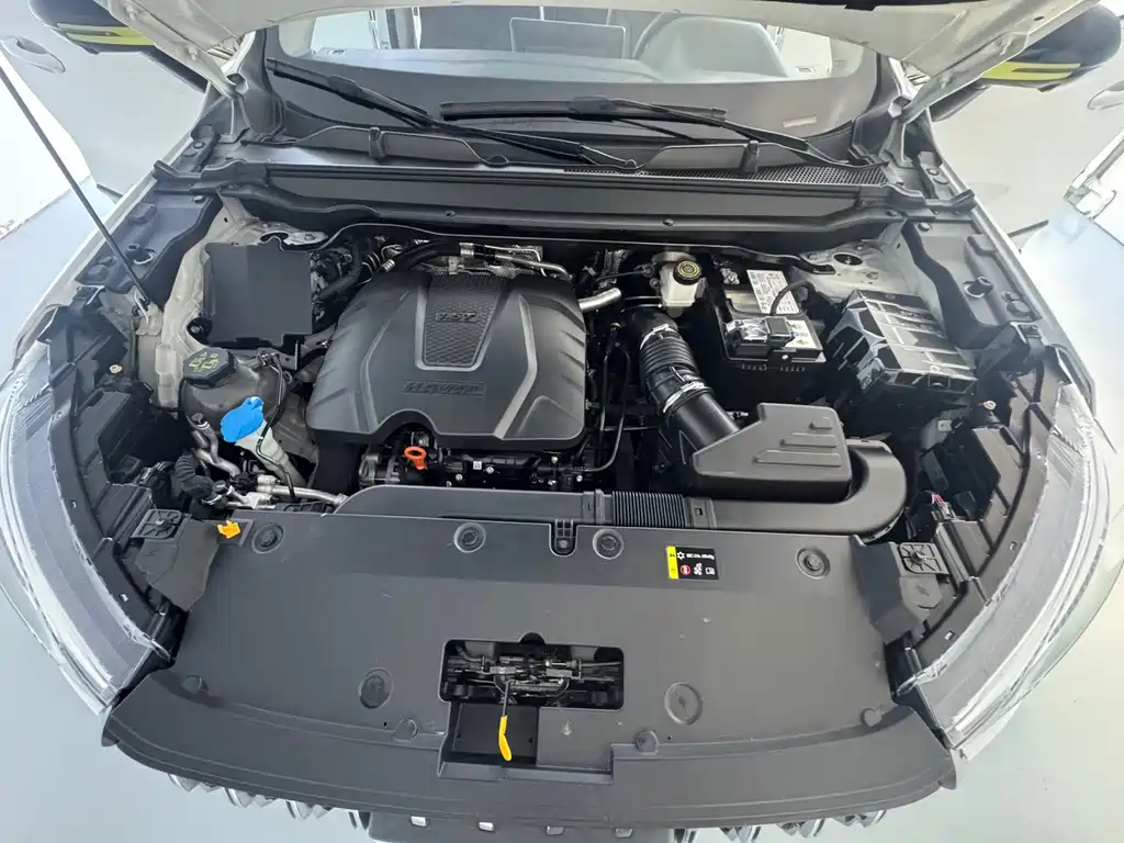 Haval Chitu — миниатюра 8
