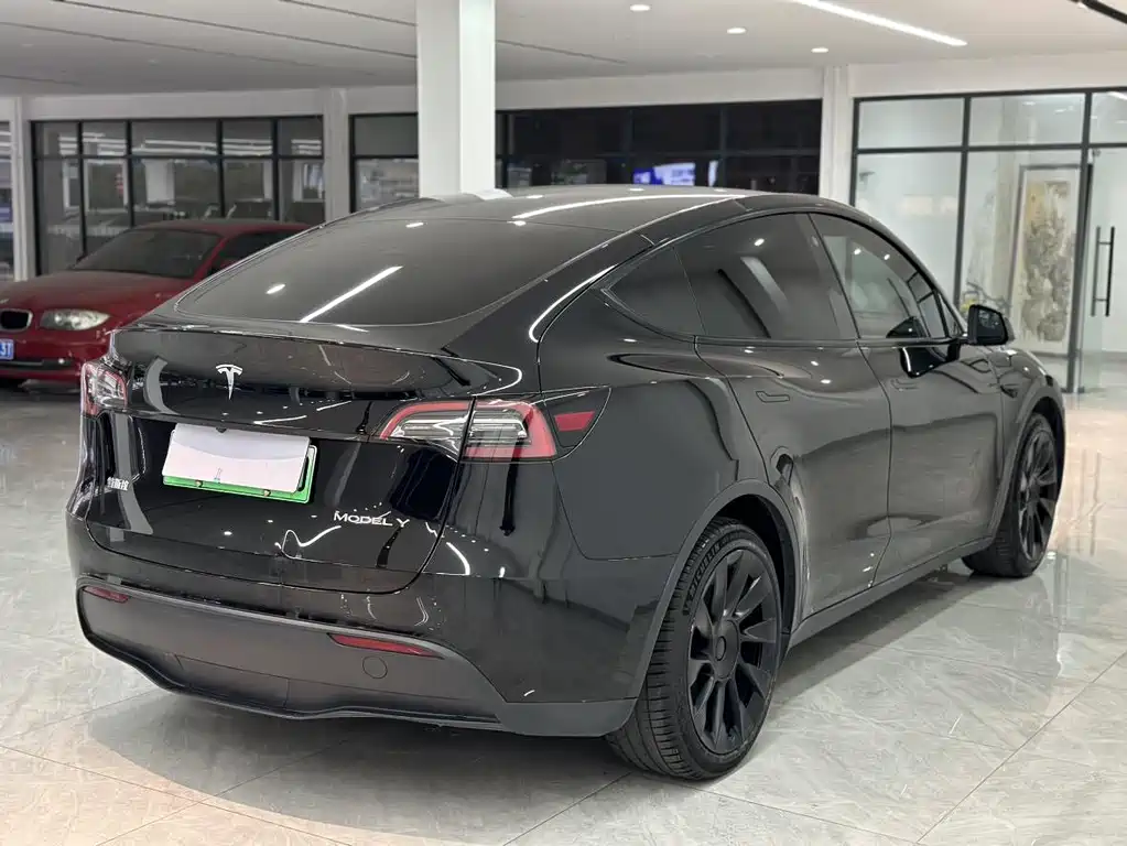 Tesla Model Y — миниатюра 6
