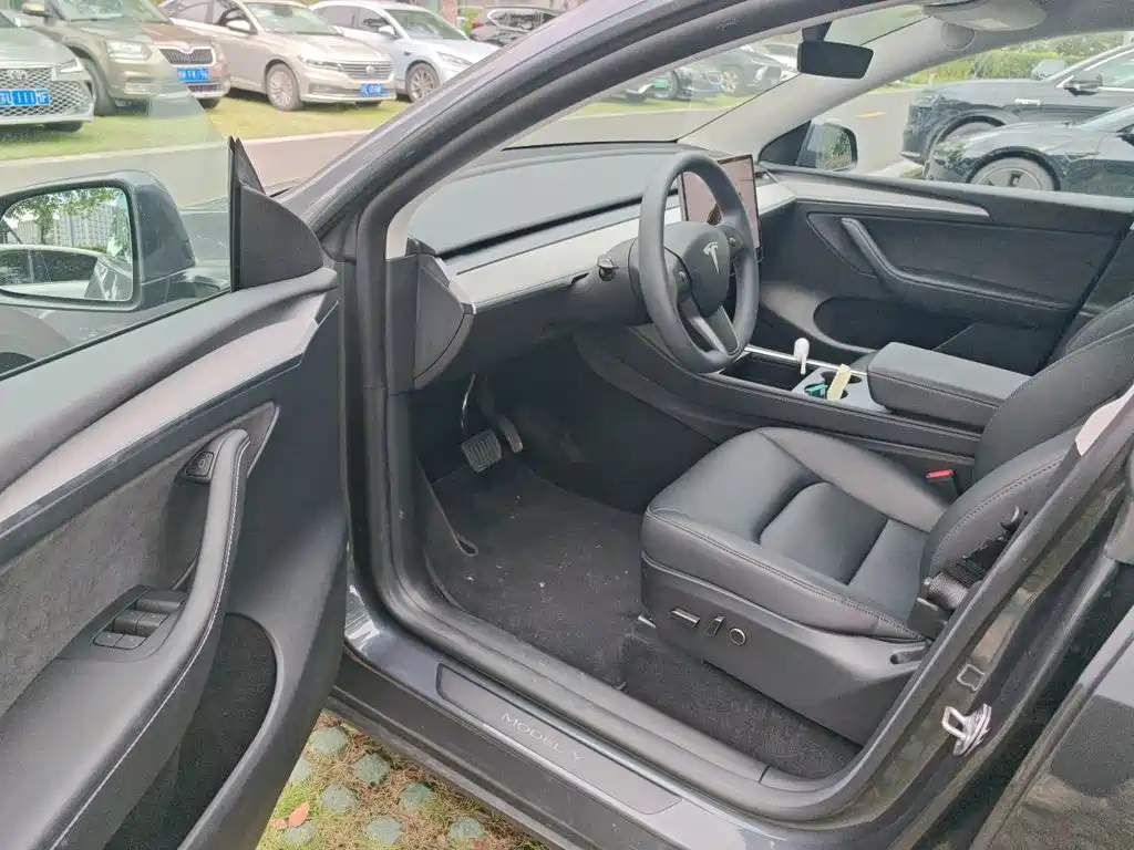 Tesla Model Y — миниатюра 14