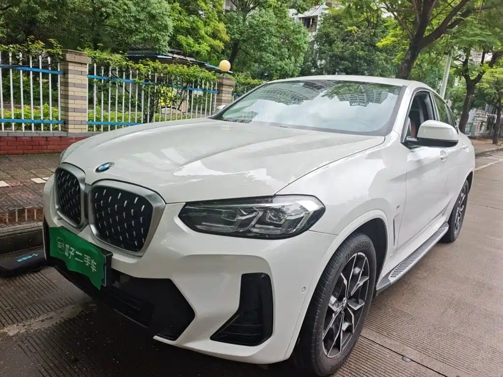 BMW X4 — миниатюра 2