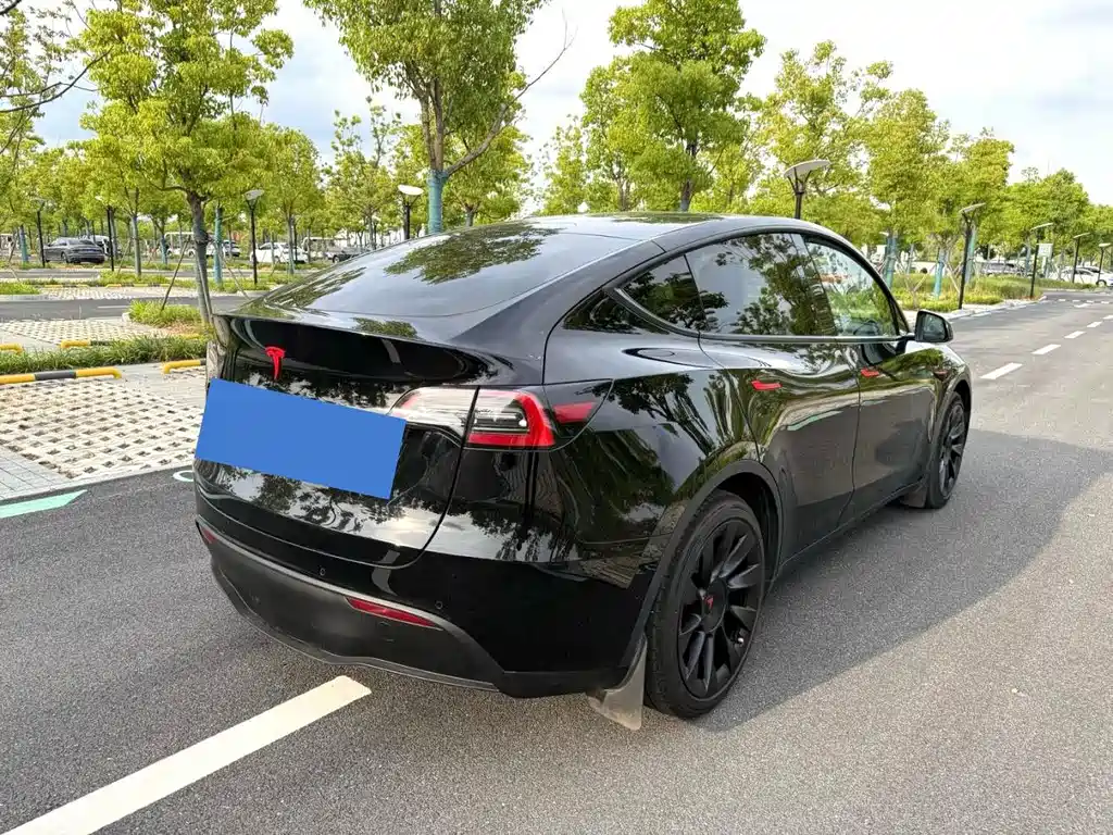 Tesla Model Y — миниатюра 13