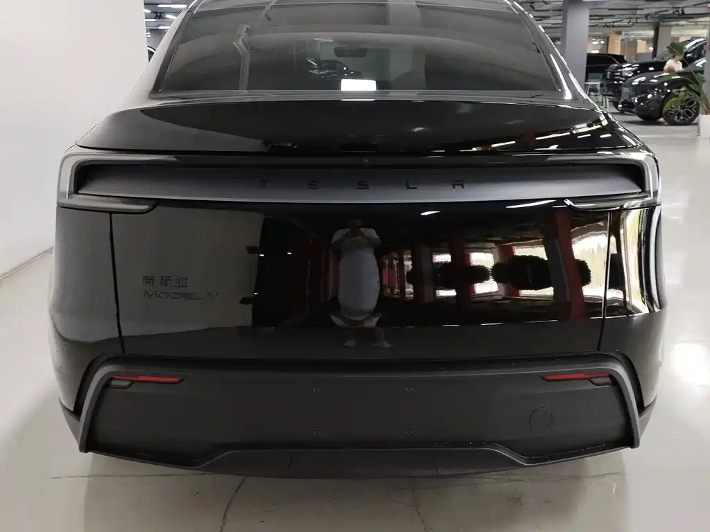 Tesla Model Y — миниатюра 8