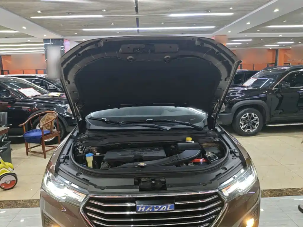 Haval H4 — миниатюра 20