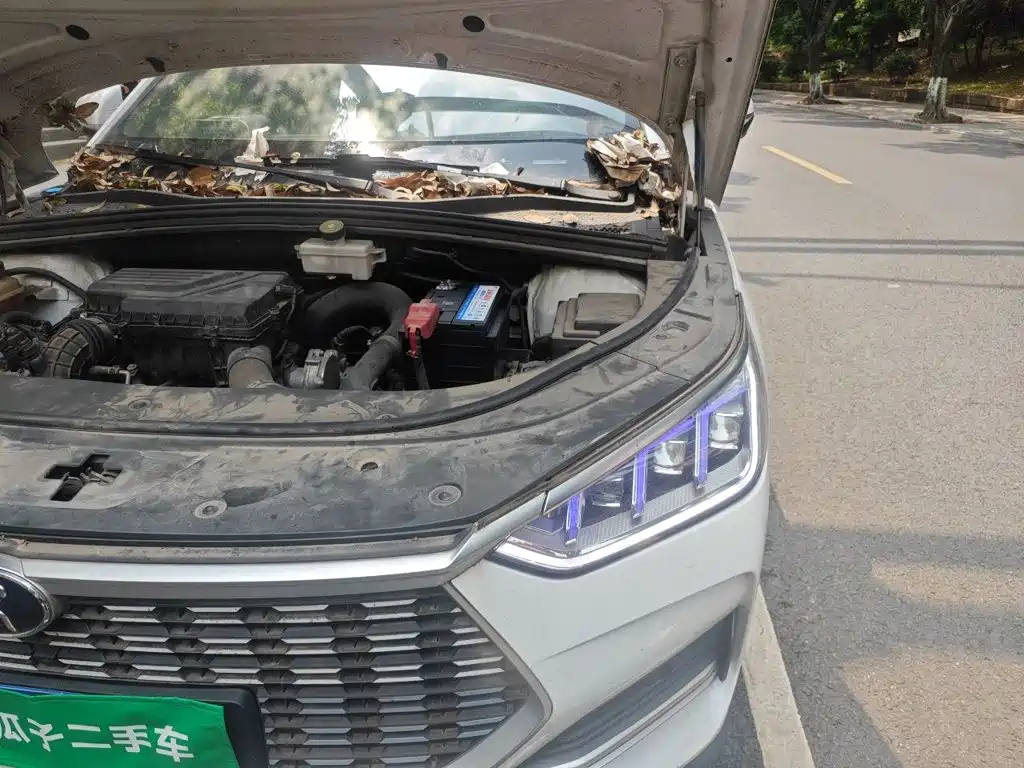 BYD PLUS — миниатюра 21