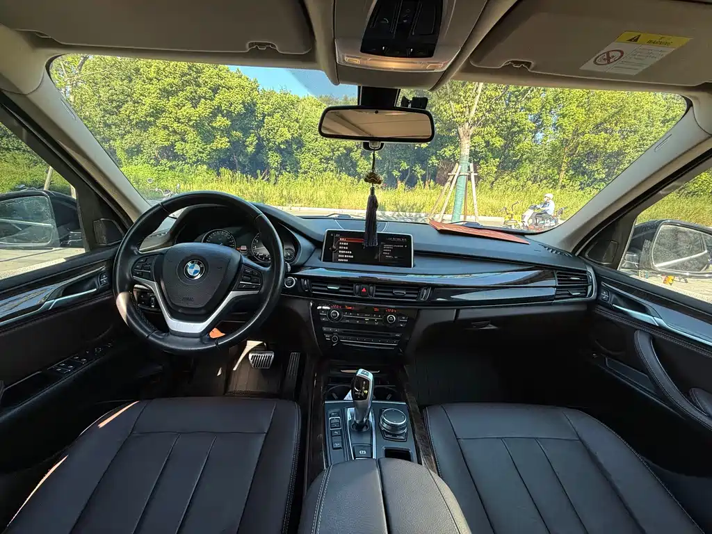 BMW X5 (Import) — миниатюра 11