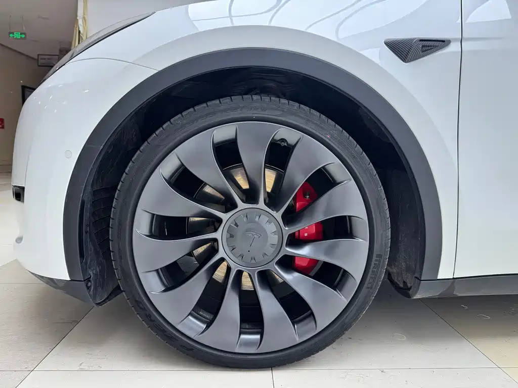 Tesla Model Y — миниатюра 19