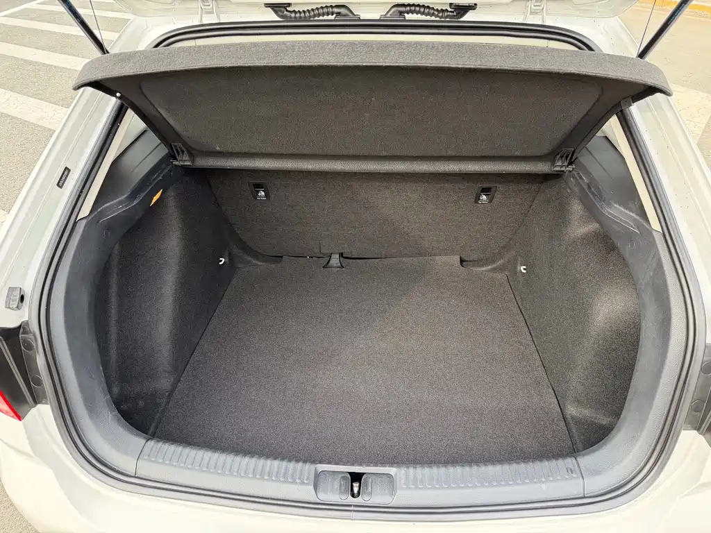 Volkswagen Gran Lavida — миниатюра 14