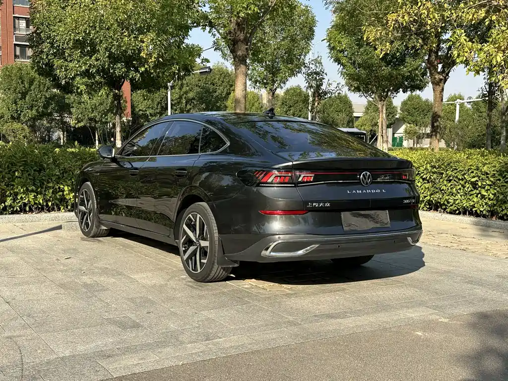 Volkswagen Lamando — миниатюра 6
